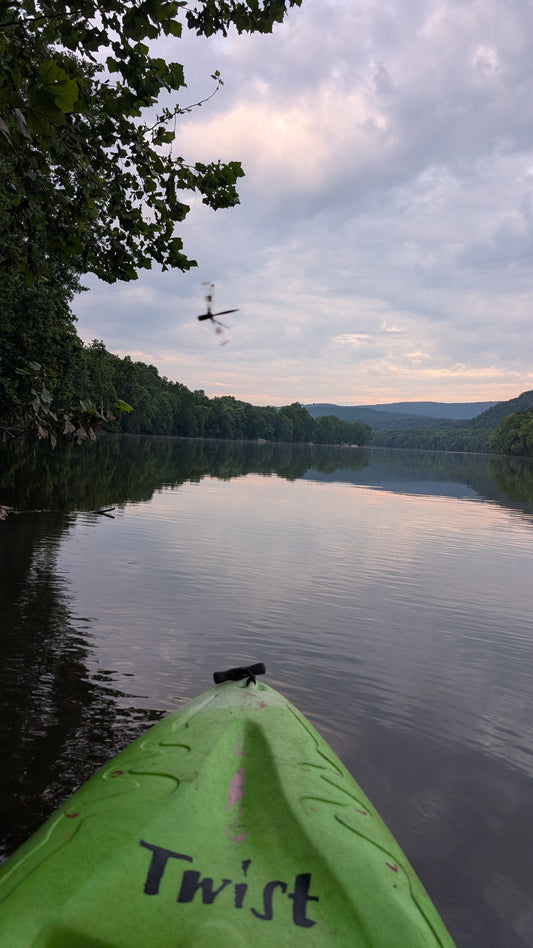 Evening on the River: A Dragonfly and a Little Creative Spark