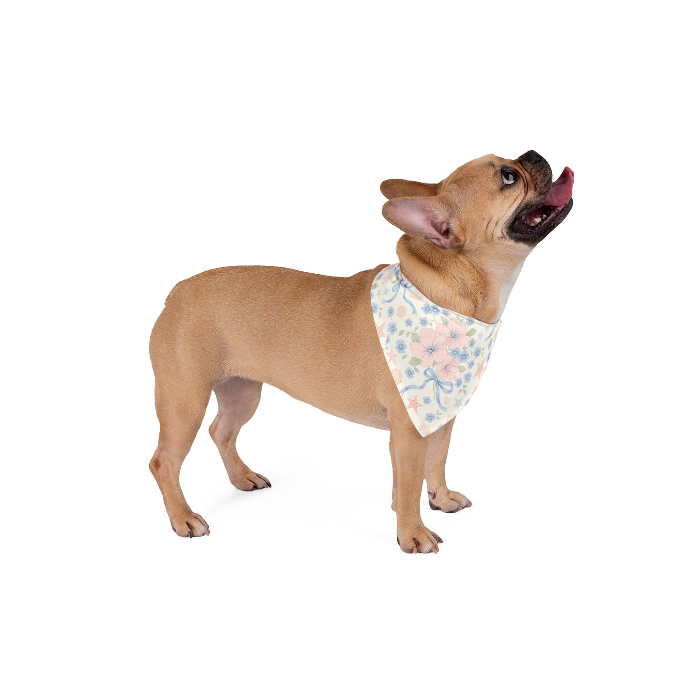Seashell Serenade Dog Scarf – Coastal Floral Bandana