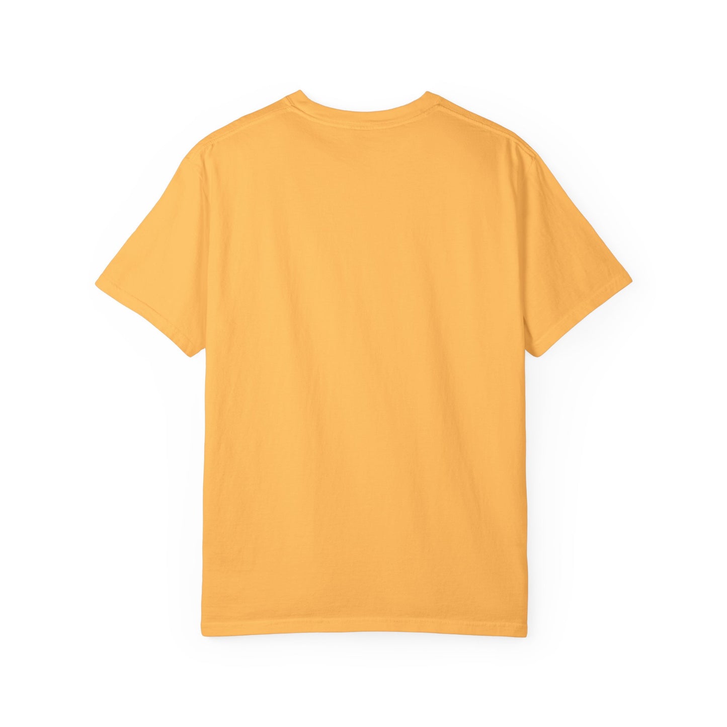 Country Roads Gameday T-shirt, Country Roads Tailgating Shirt, Touchdowns Tee, West Virginia Fan Apparel, Unisex Tee