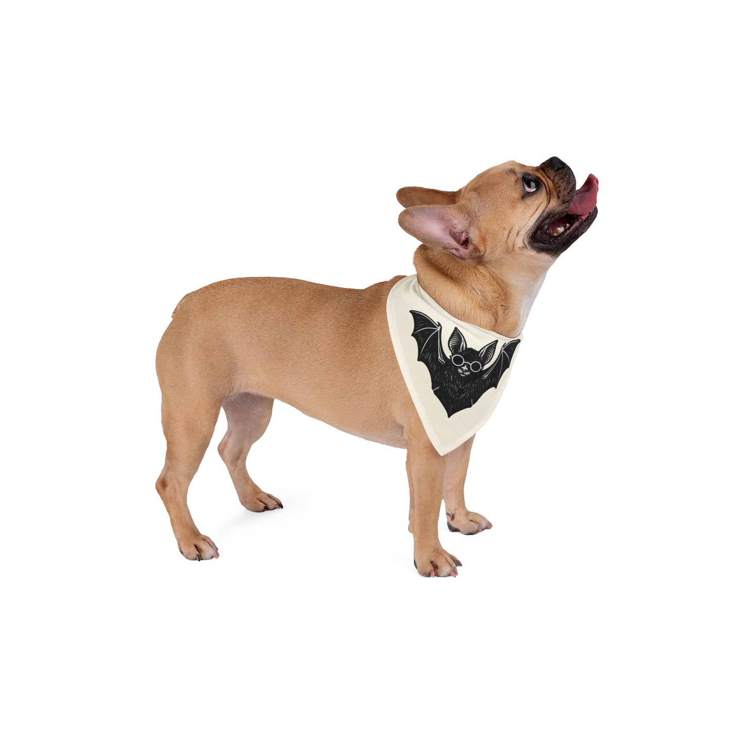 Bark at the Moon Bandana – Ozzy-Inspired Dog Scarf