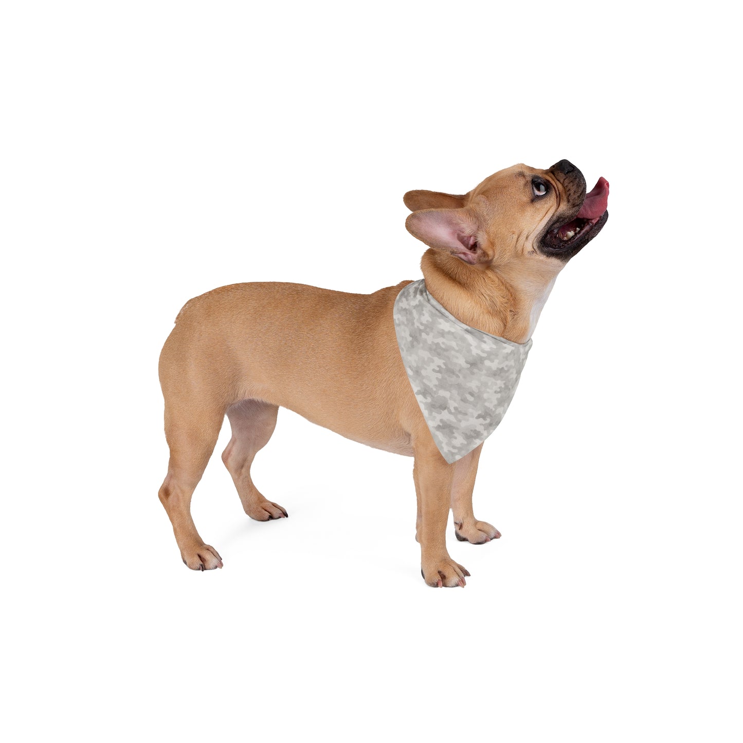 Stealth & Sass Dog Scarf – Grey Camo Bandana