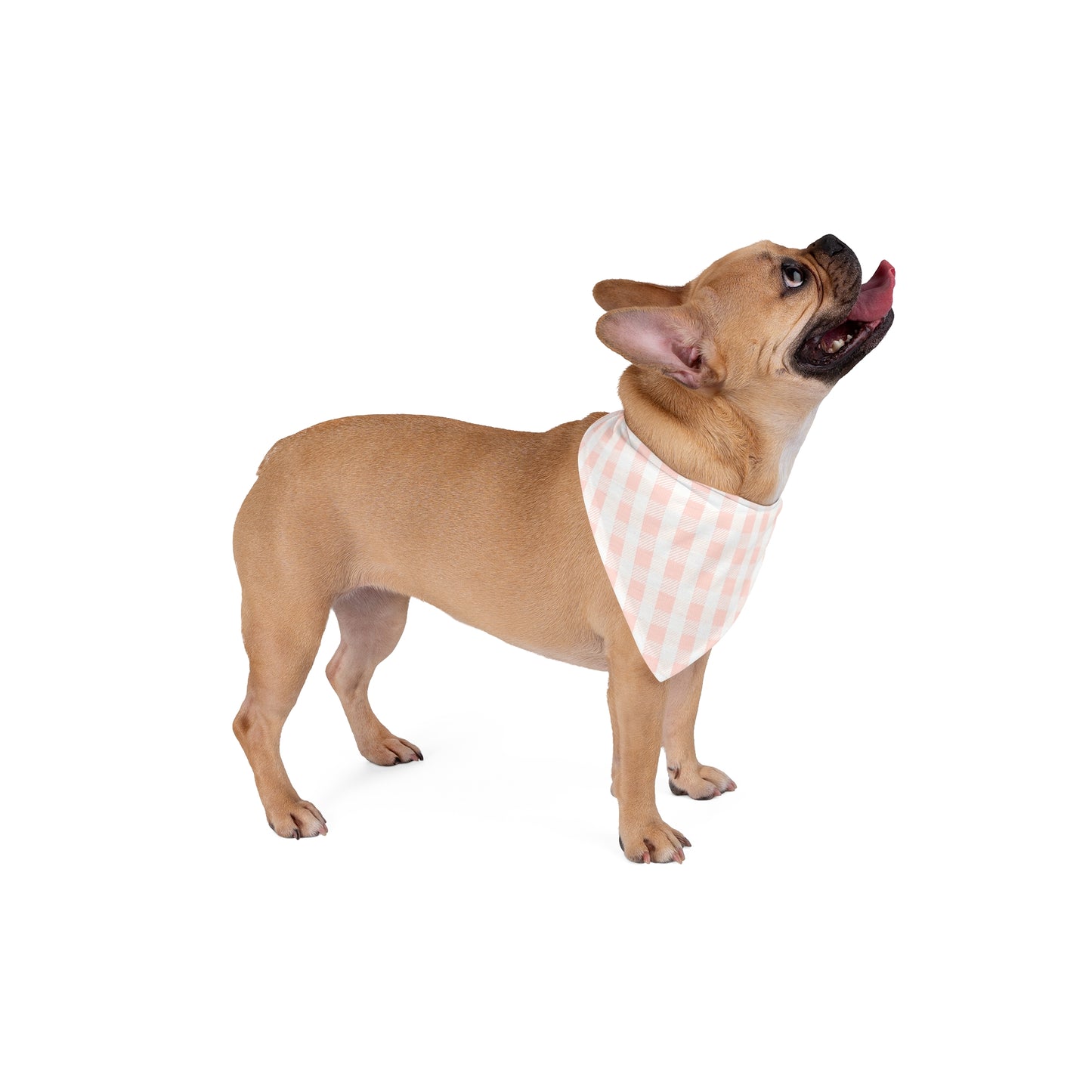 Pink Gingham Dog Scarf – Classic Check Pet Bandana