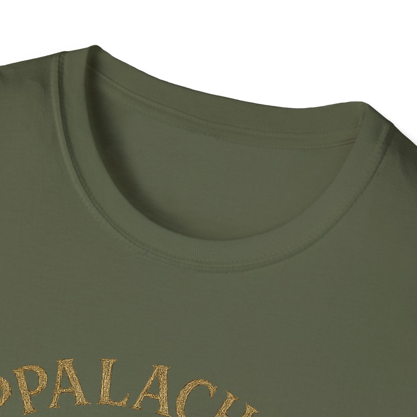 Appalachian Queen T-Shirt, Botanical Graphic Tee, Unisex Softstyle Shirt, Gift for Music Lovers, Casual Wear, Festival Outfit