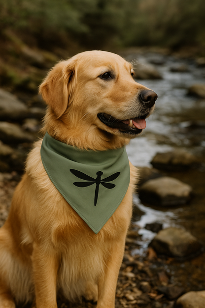 Dog wearing a green bandana with a dragonfly design by a stream.