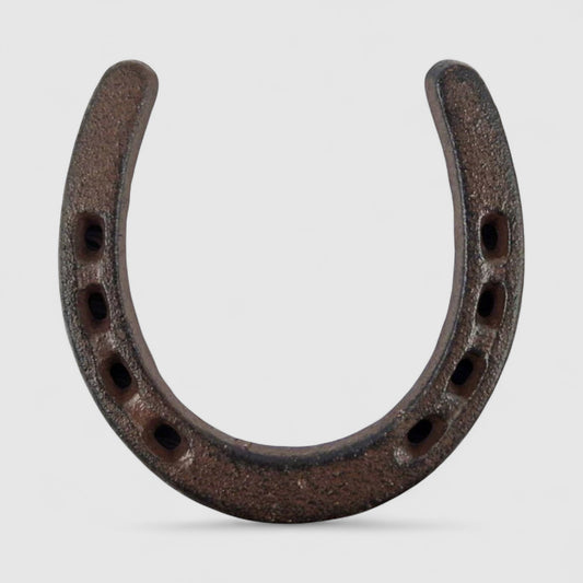 Classic Cast Iron Horseshoe Wall Accent