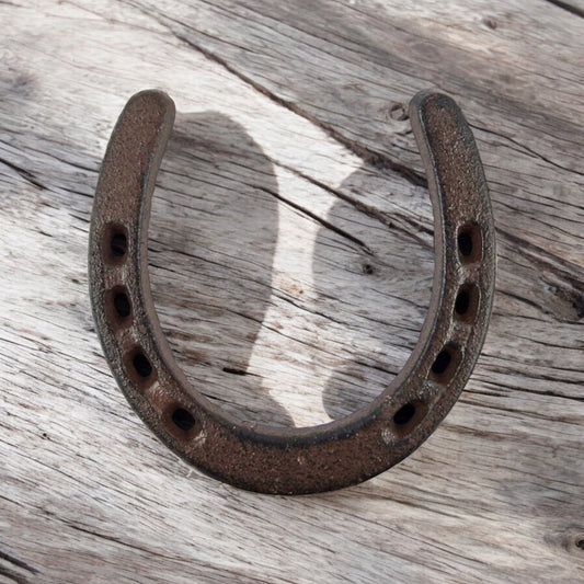 Rustic horseshoe on a wooden surface
