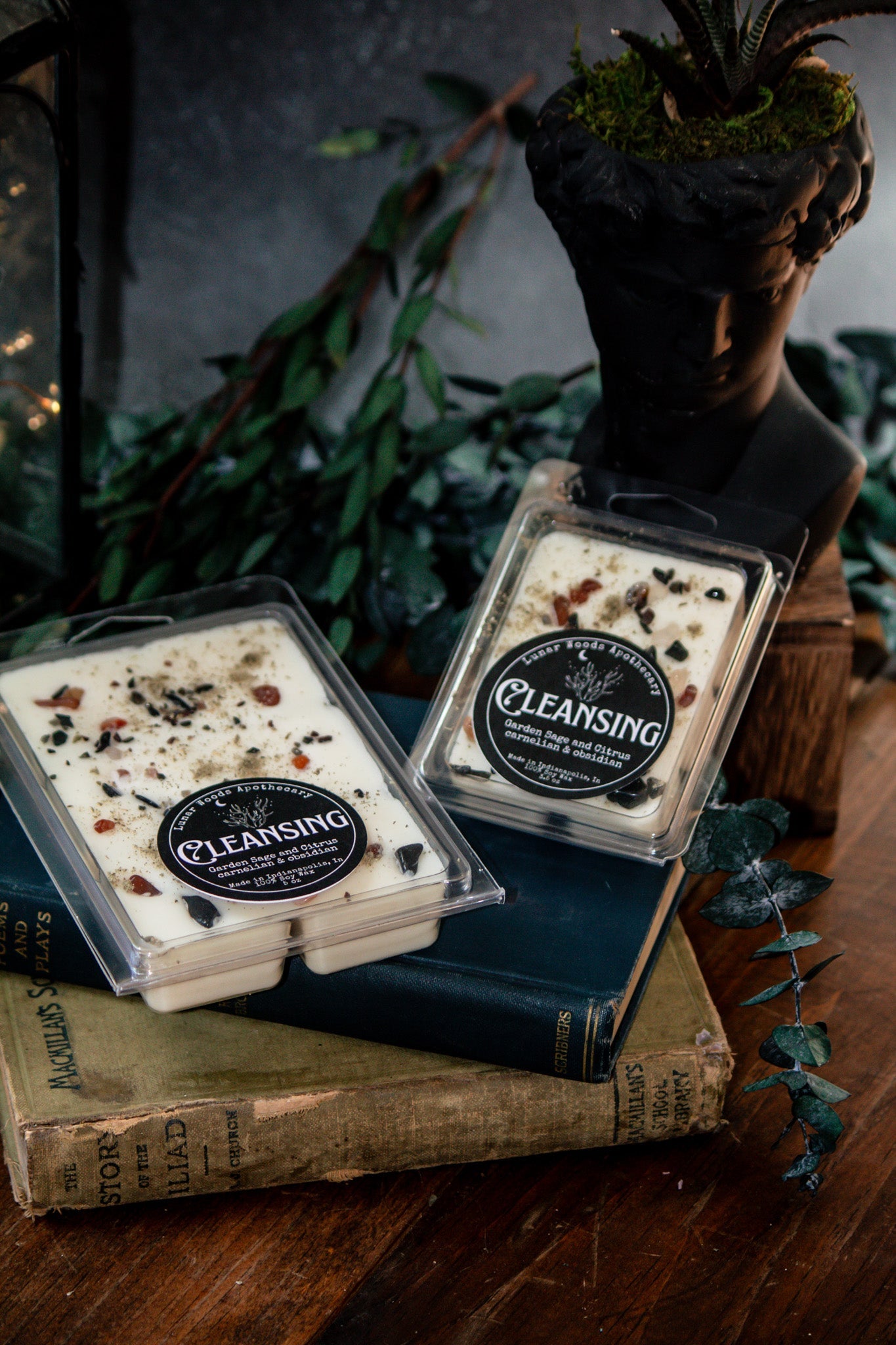 Cleansing — Witchy Wax Melts